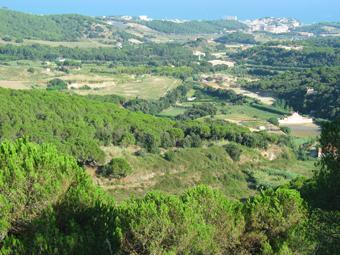 Vall de la Gavarra