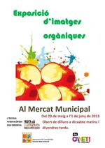 Cartell exposici arts orgniques - 2013