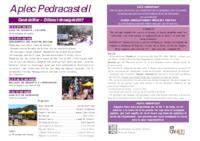 Programa de l'Aplec de Pedracastell - 2017