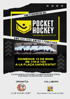 pocket hockey