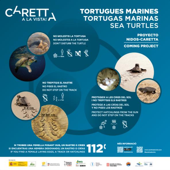 Tortuga cartell