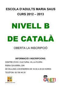 Cartell Catal nivell B 2012