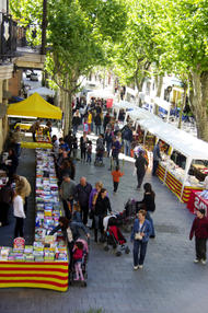 Sant Jordi 2011 - fotografia cedida per J.Espí