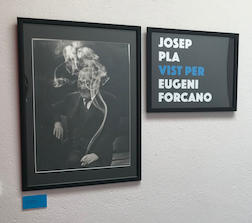 Exposició Eugeni Forcano - Josep Pla 4