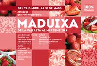 Publicació Jornades Gastronòmiques de la maduixa - 2014