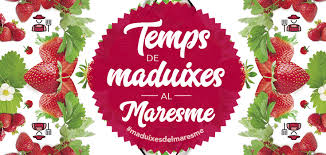 maduixes