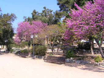 El parc del Santuari fou fet per Josep Puig i Cadafalch